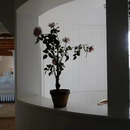 Villa Denmark Sea Front Enchanting - *